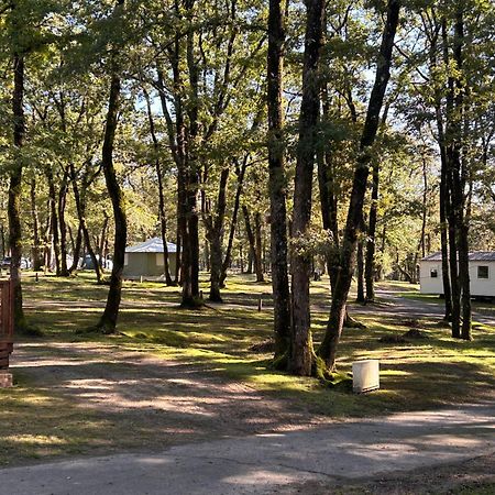 Camping Les Petites Minaudieres Coussay-les-Bois Zewnętrze zdjęcie